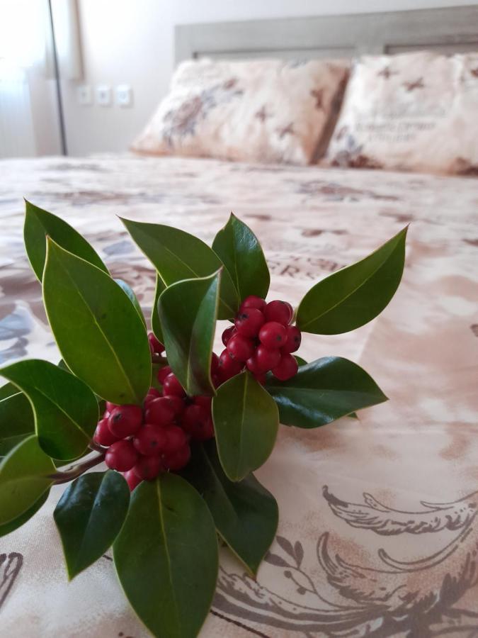 Exantas The Lux-Veria Apartman Kültér fotó